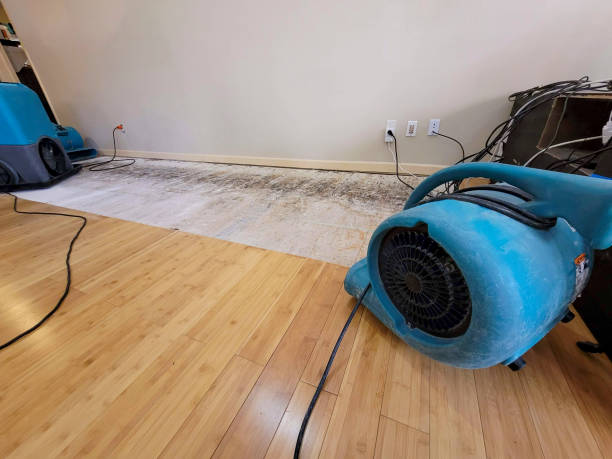 Professional Water Removal technician working in Forestville, CA